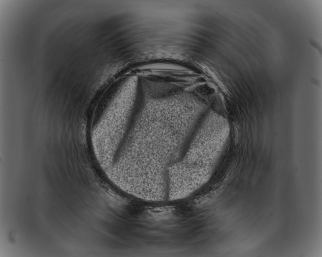 X0000092230447200710121221