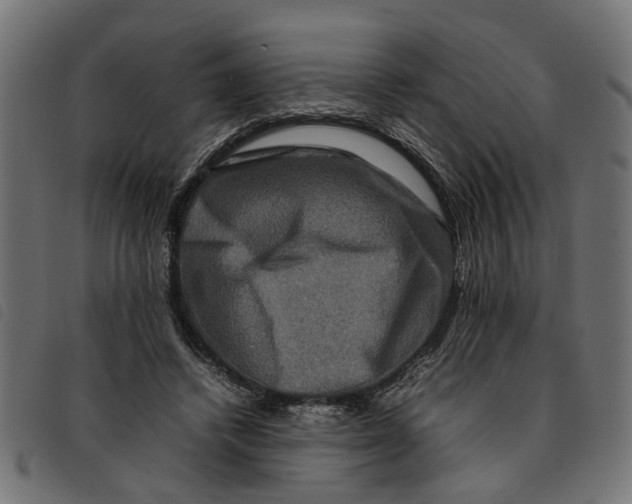 X0000092230448200710121221