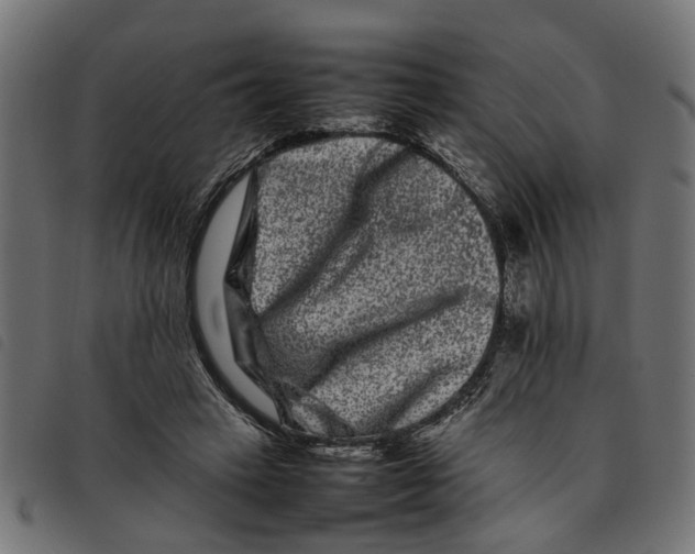 X0000092230449200710121221