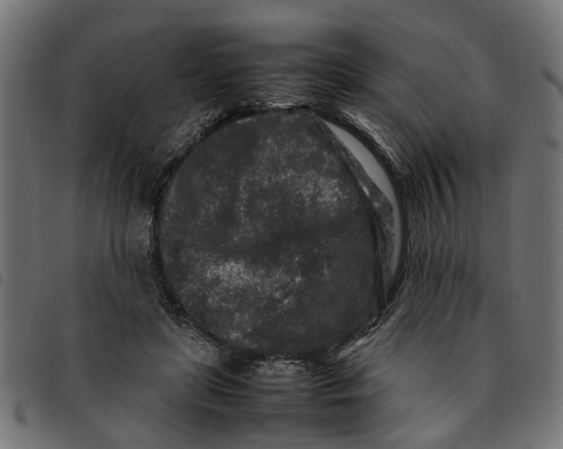 X0000092230451200710121221