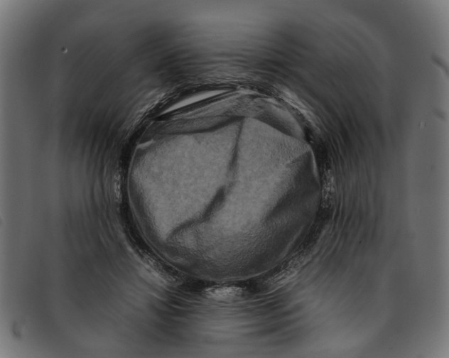 X0000092230452200710121221