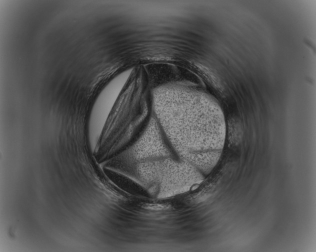 X0000092230453200710121221