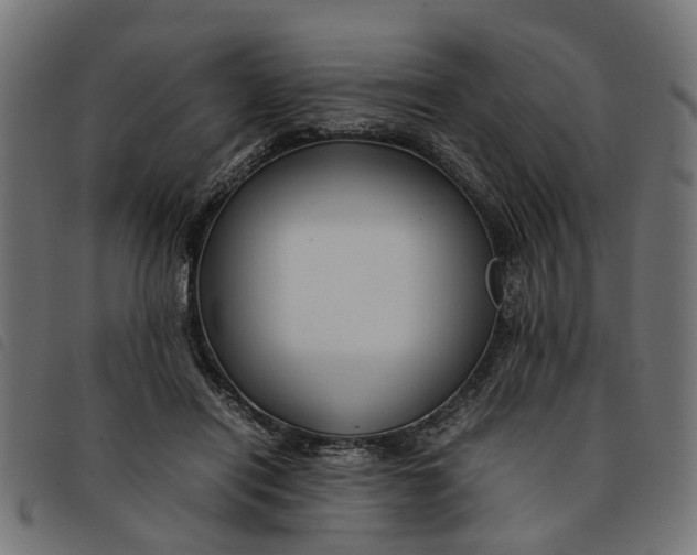 X0000092230454200710121221