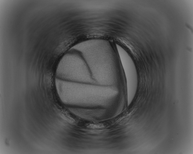 X0000092230455200710121221