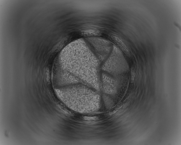 X0000092230457200710121221