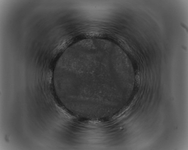 X0000092230458200710121221