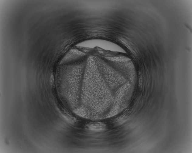 X0000092230459200710121221