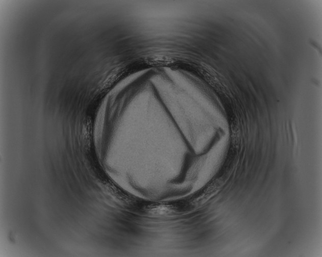 X0000092230460200710121221