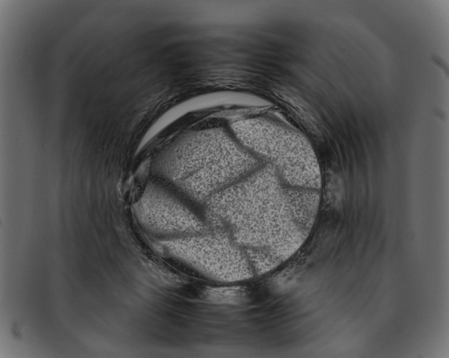 X0000092230461200710121221