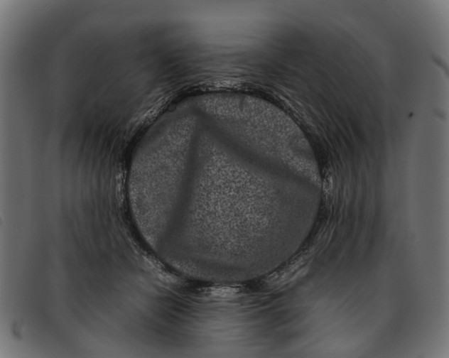 X0000092230462200710121221