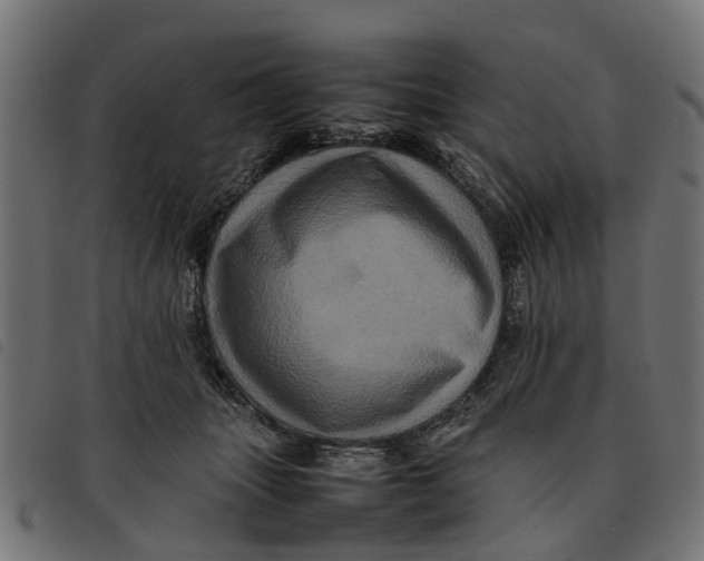 X0000092230463200710121221