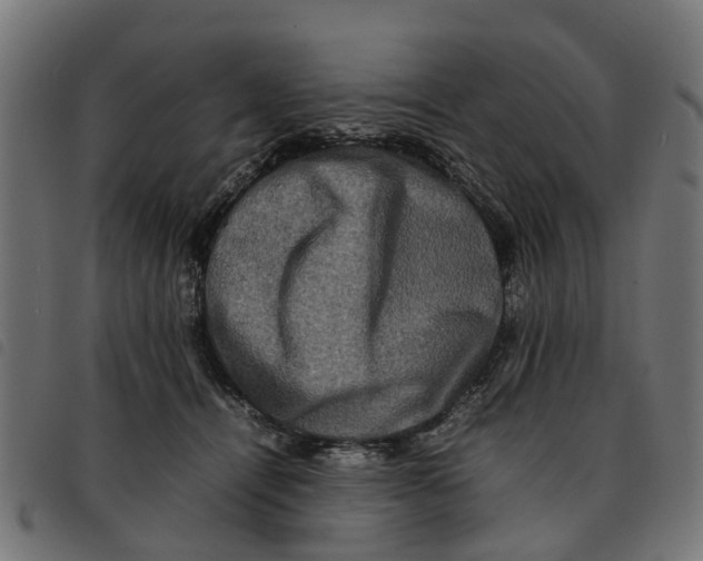 X0000092230464200710121221