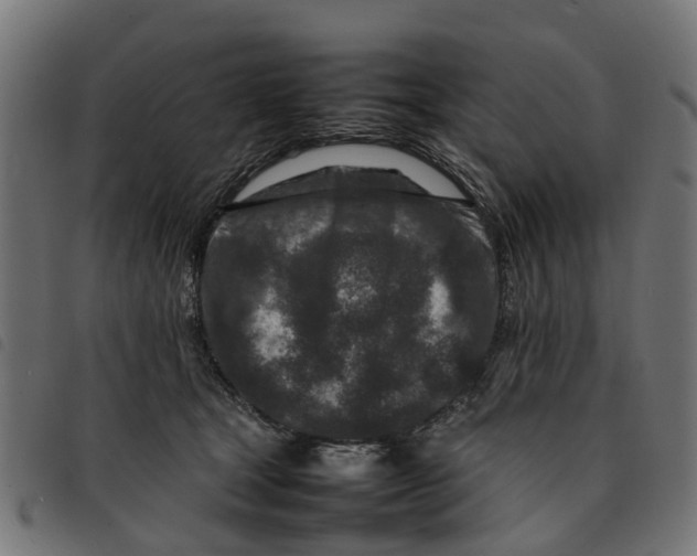 X0000092230465200710121221