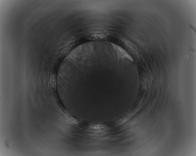 X0000092230467200710121221