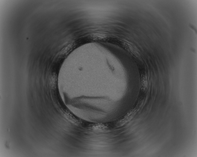 X0000092230468200710121221