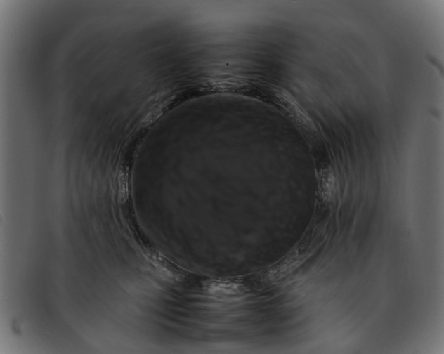 X0000092230471200710121221