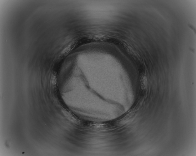 X0000092230472200710121221