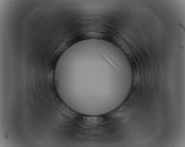 X0000092230473200710121221