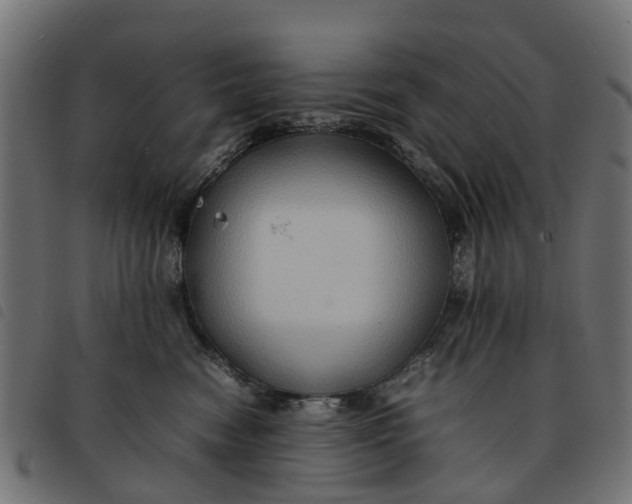 X0000092230474200710121221