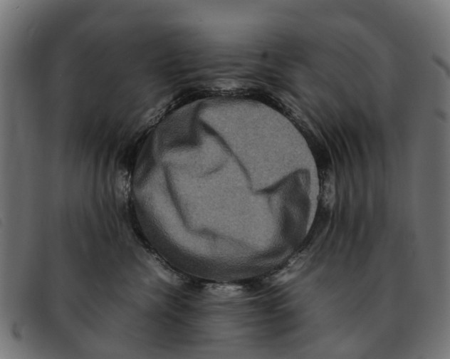 X0000092230476200710121221