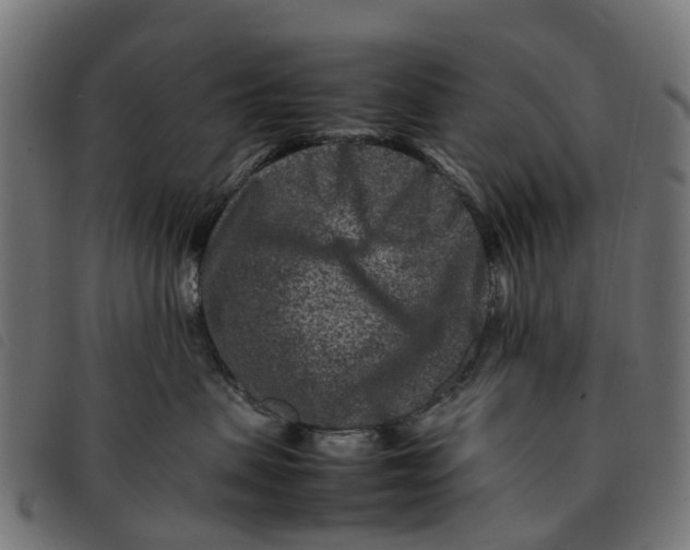 X0000092230479200710121222