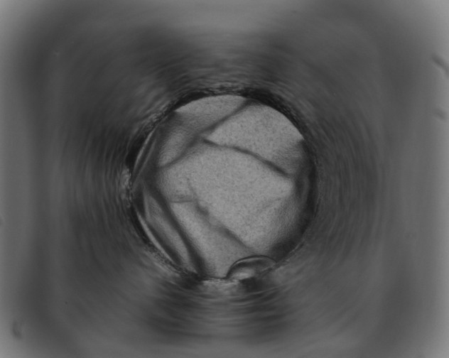 X0000092230480200710121222