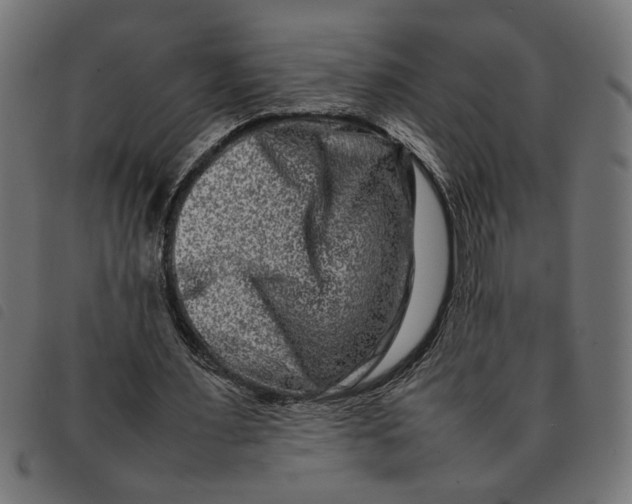 X0000092230483200710121221