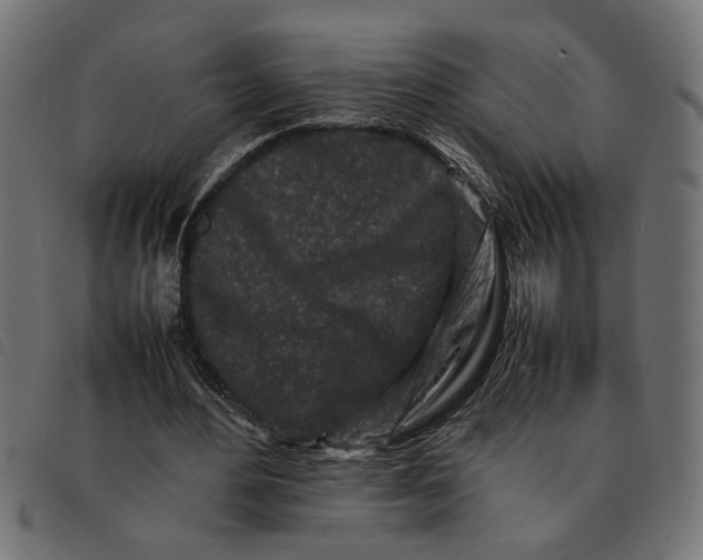 X0000092230484200710121221