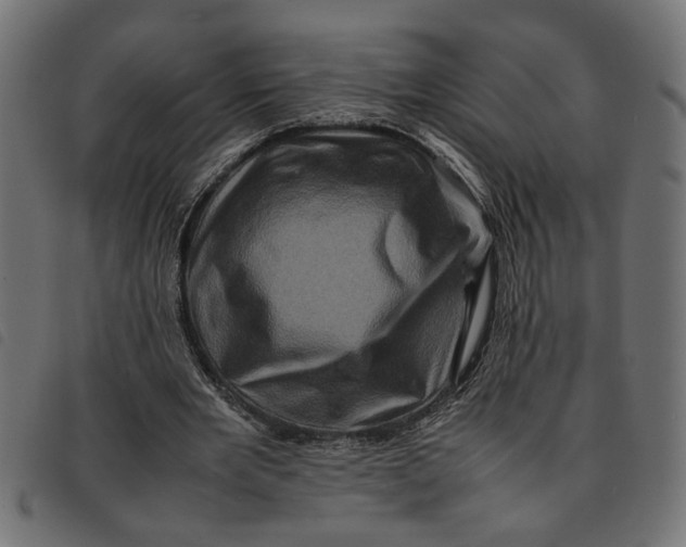 X0000092230485200710121221