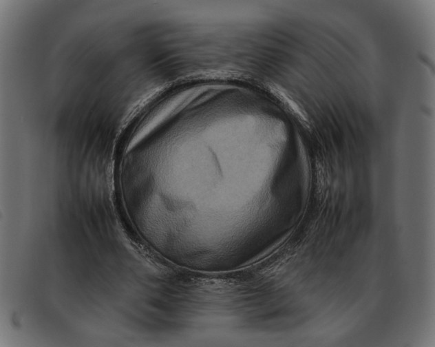 X0000092230486200710121221