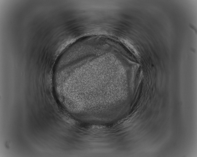 X0000092230487200710121221