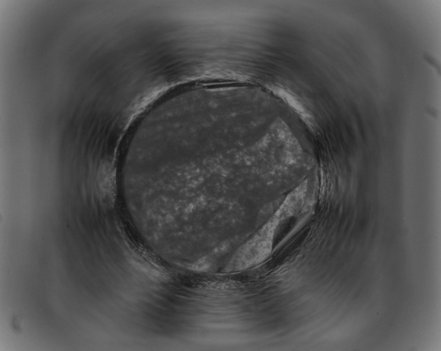 X0000092230488200710121221