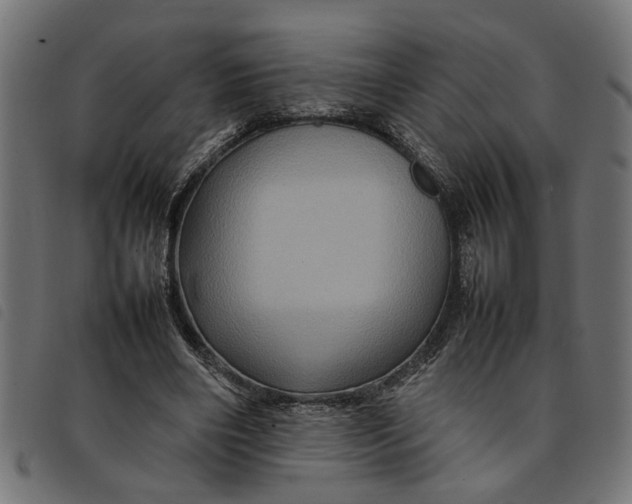 X0000092230490200710121221