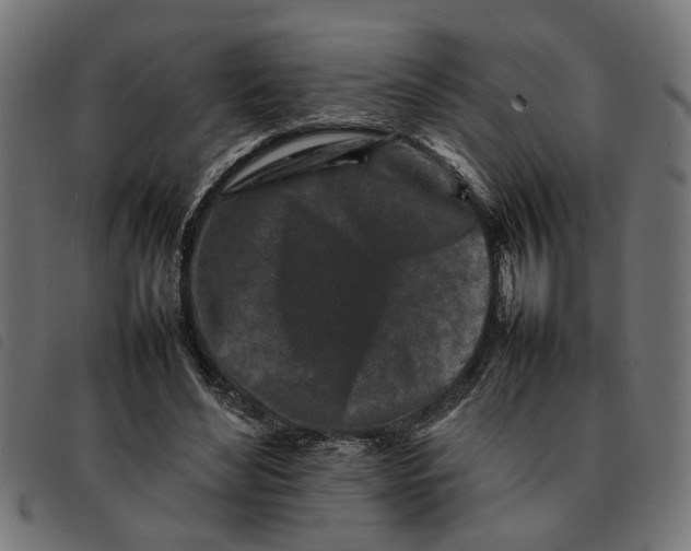 X0000092230492200710121221