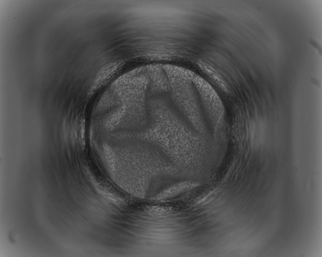 X0000092230494200710121221