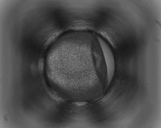 X0000092230495200710121221