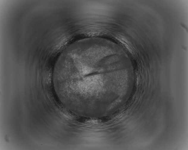 X0000092230499200710121221