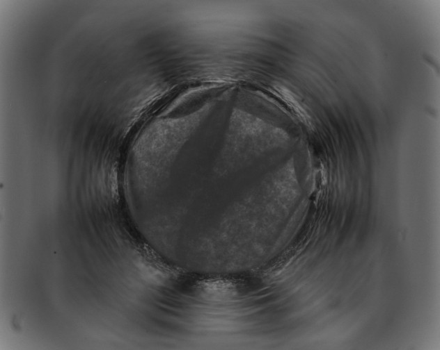 X0000092230500200710121221