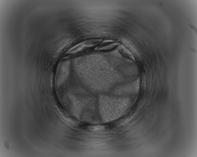 X0000092230501200710121221