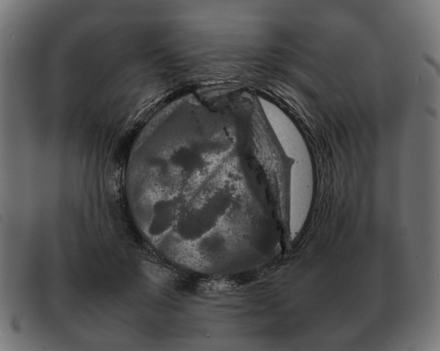 X0000092230503200710121221