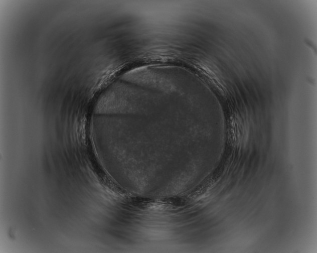 X0000092230504200710121221