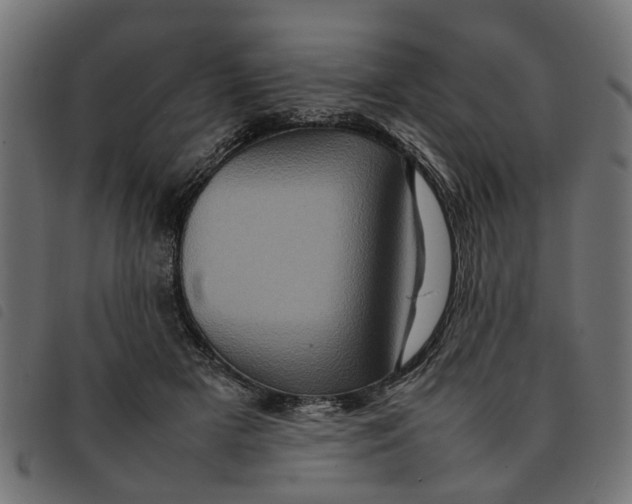 X0000092230505200710121221