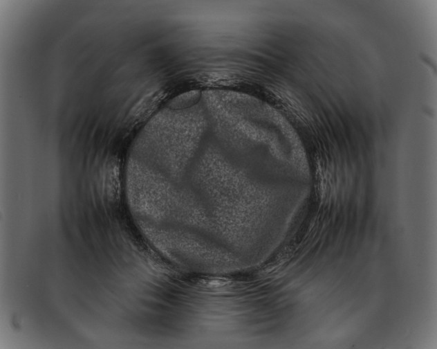 X0000092230506200710121221