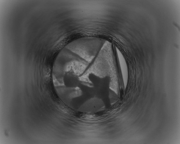 X0000092230507200710121221