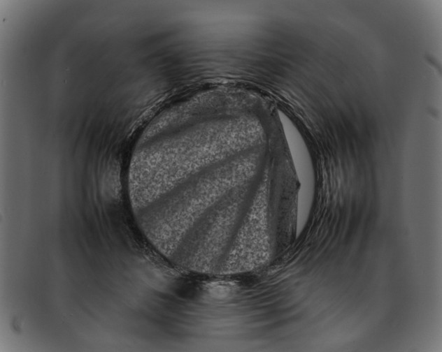 X0000092230508200710121221