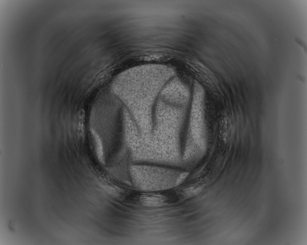 X0000092230510200710121220