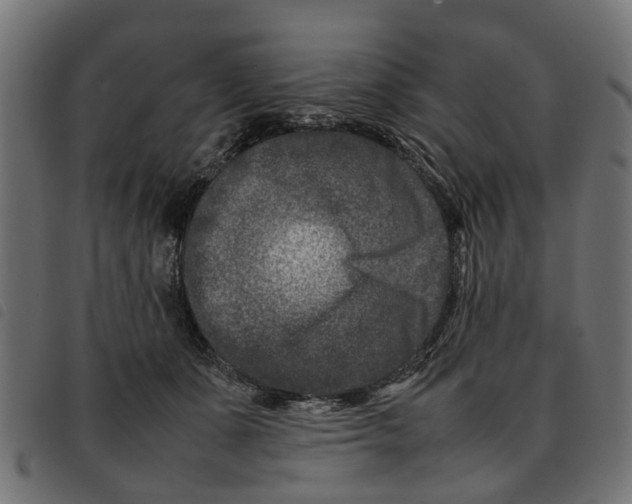 X0000092230511200710121220