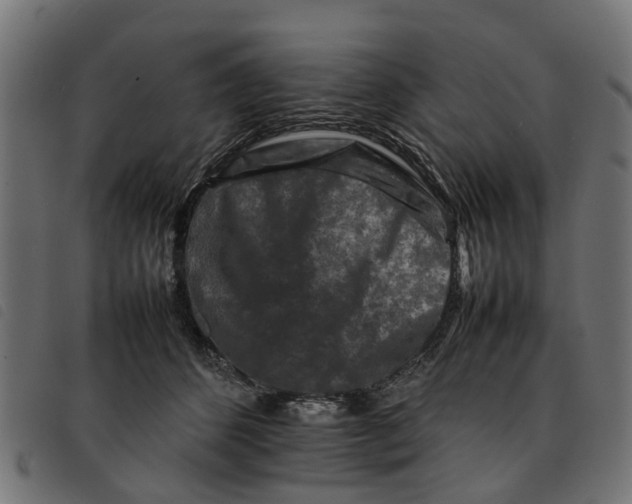 X0000092230512200710121220