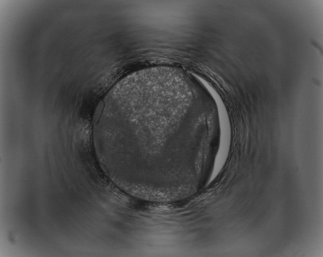 X0000092230513200710121220