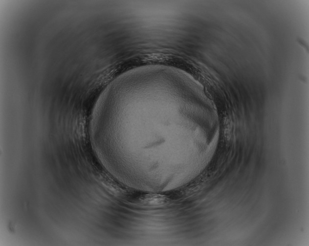 X0000092230514200710121220